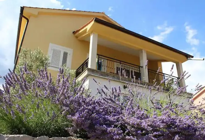 Comfortable Lavanda * Корнич